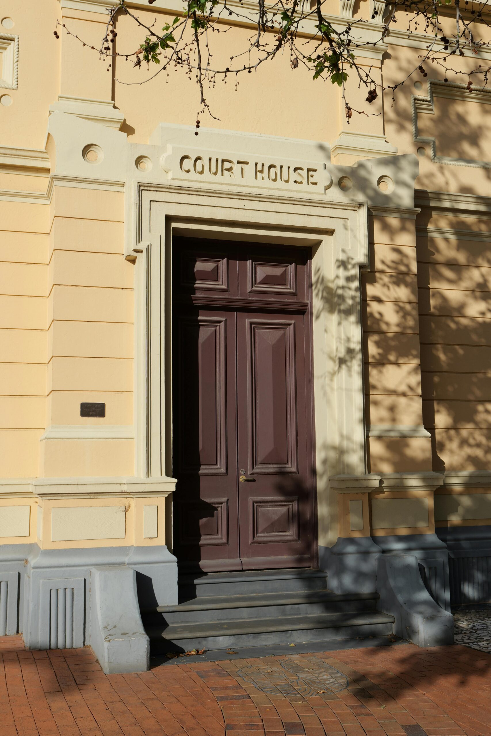 Licensed private investigator conducting surveillance